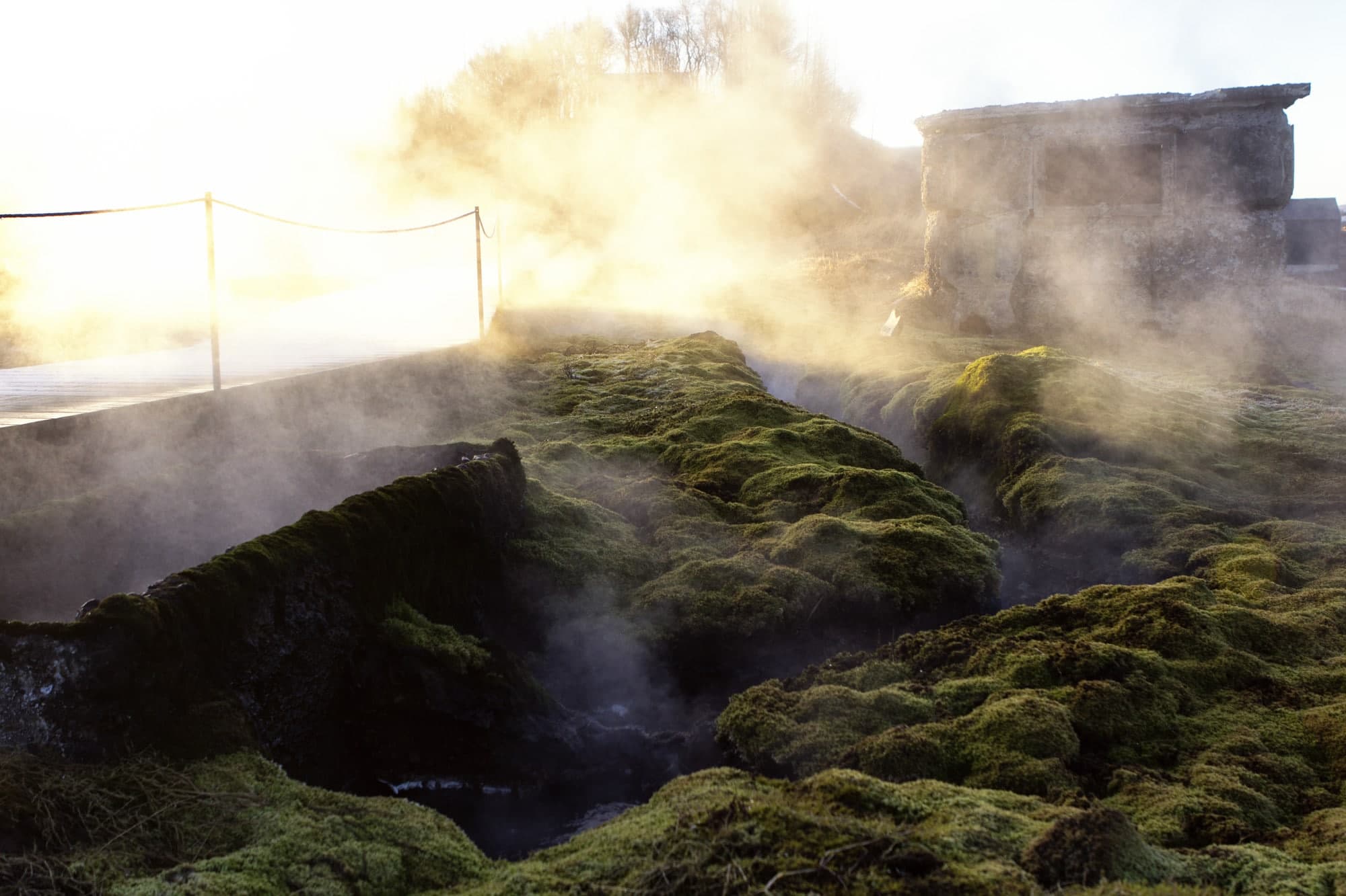 Steam rising from moss-covered ground beside the lagoon, backlit by low sun